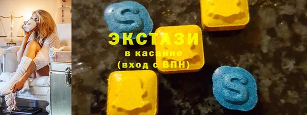 ECSTASY Богородск